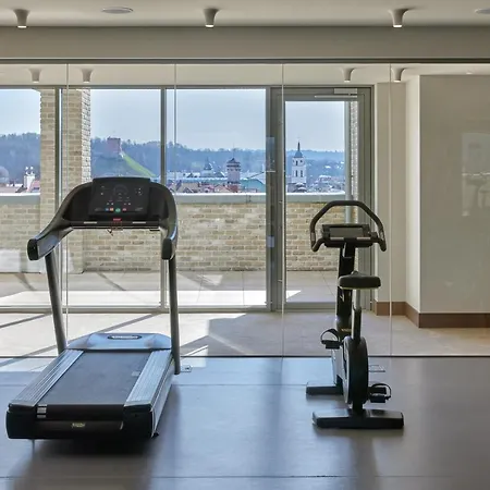 Neringa Hotel 4*