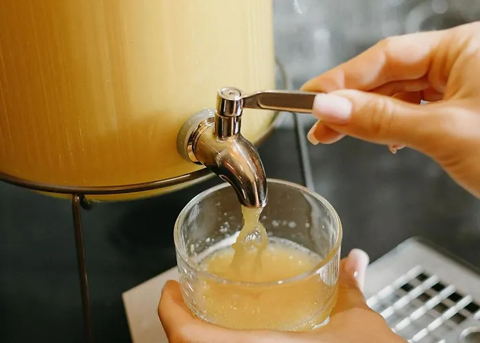 酒店 纳林加酒店