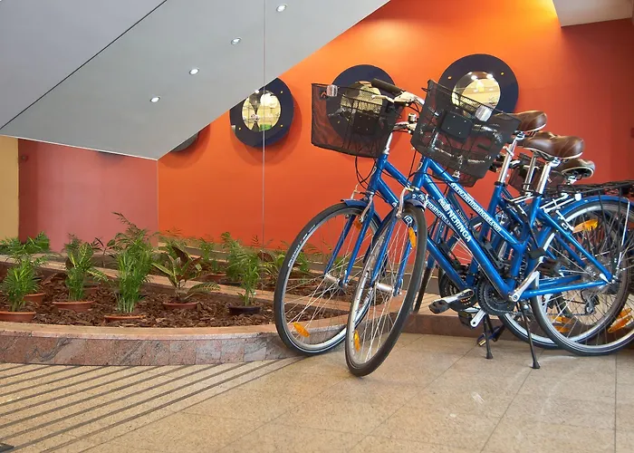 酒店 纳林加酒店 4*