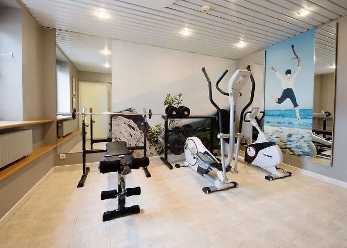 纳林加酒店 4* 维尔纽斯